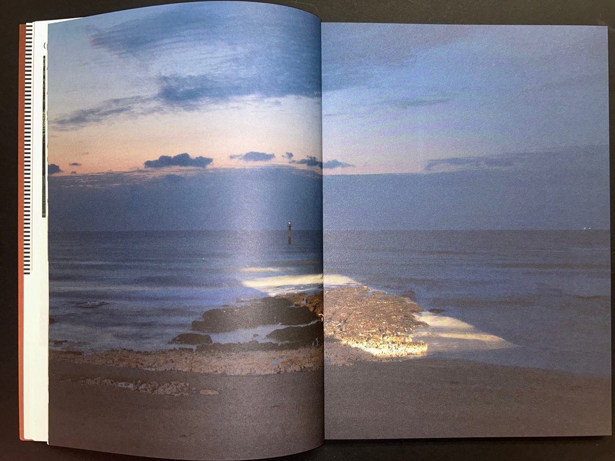 The Light Observer, Issue 1