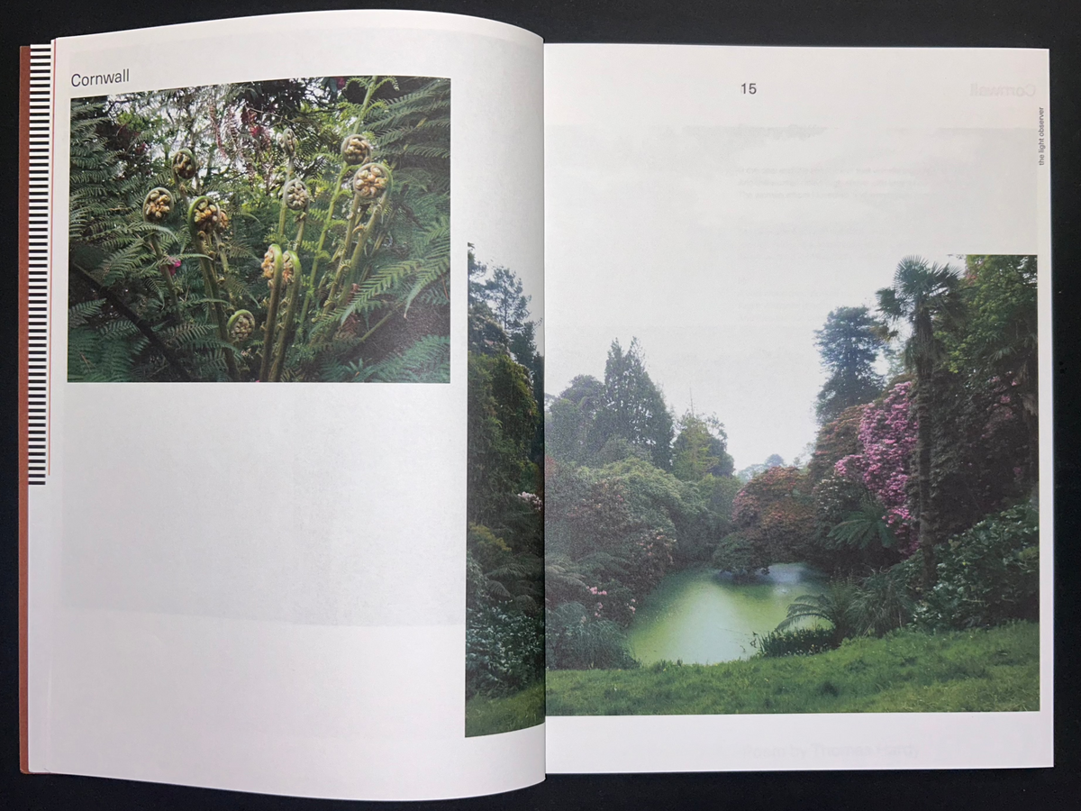 The Light Observer, Issue 1