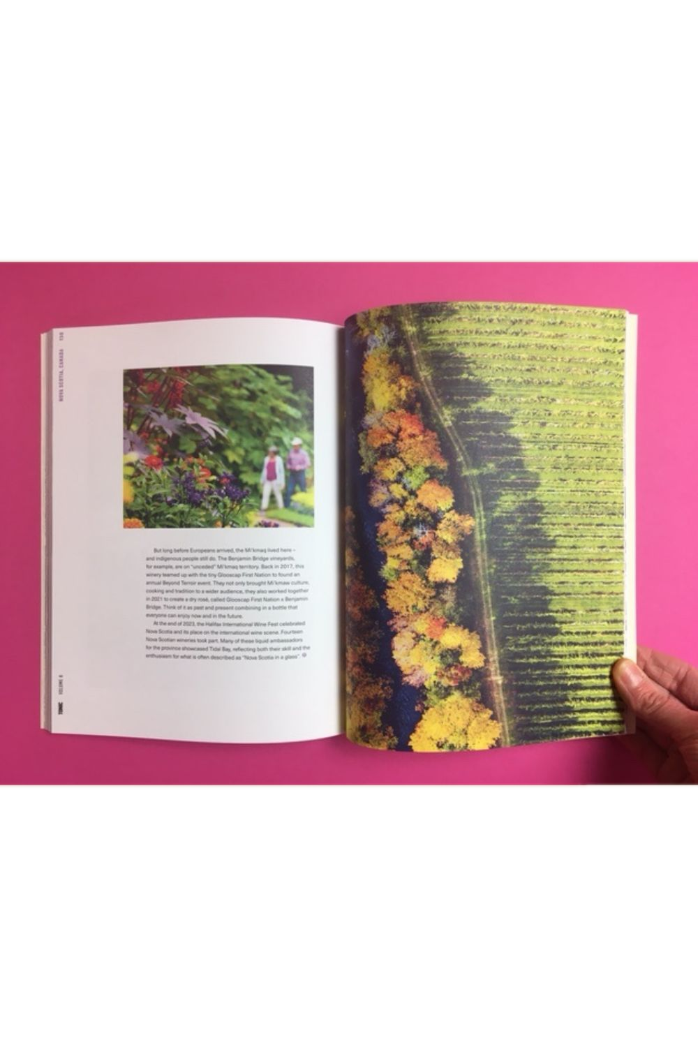 Tonic Volume 6