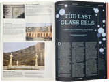 Translator Issue 3