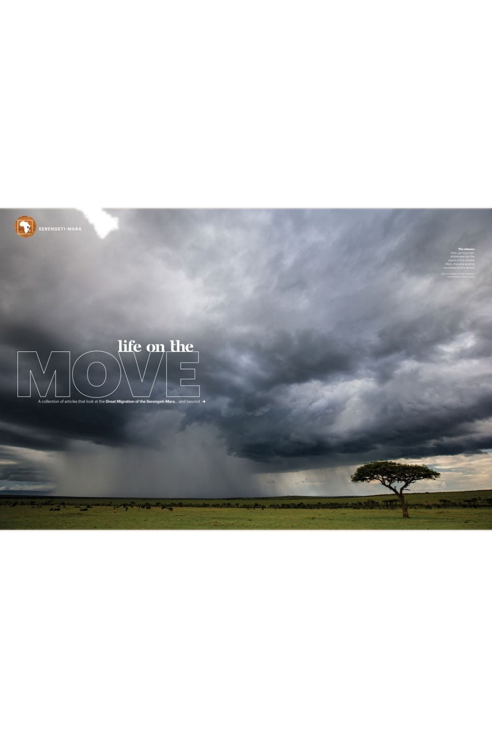 Travel Africa Issue 90
