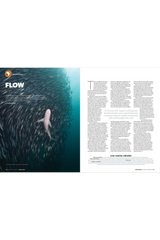 Travel Africa Issue 90