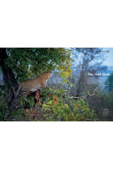Travel Africa Issue 93