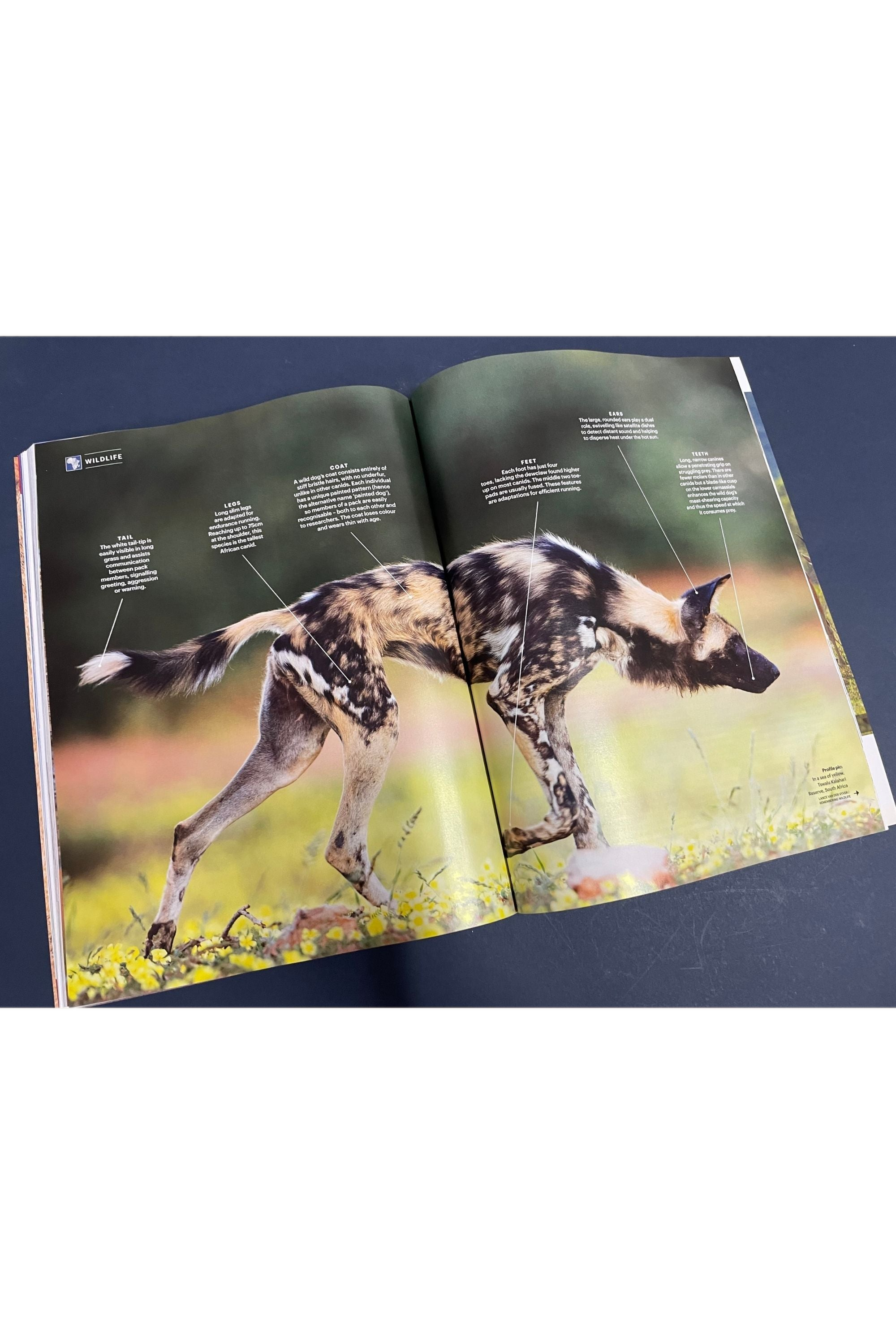 Travel Africa Issue 94