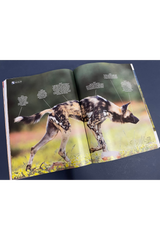 Travel Africa Issue 94
