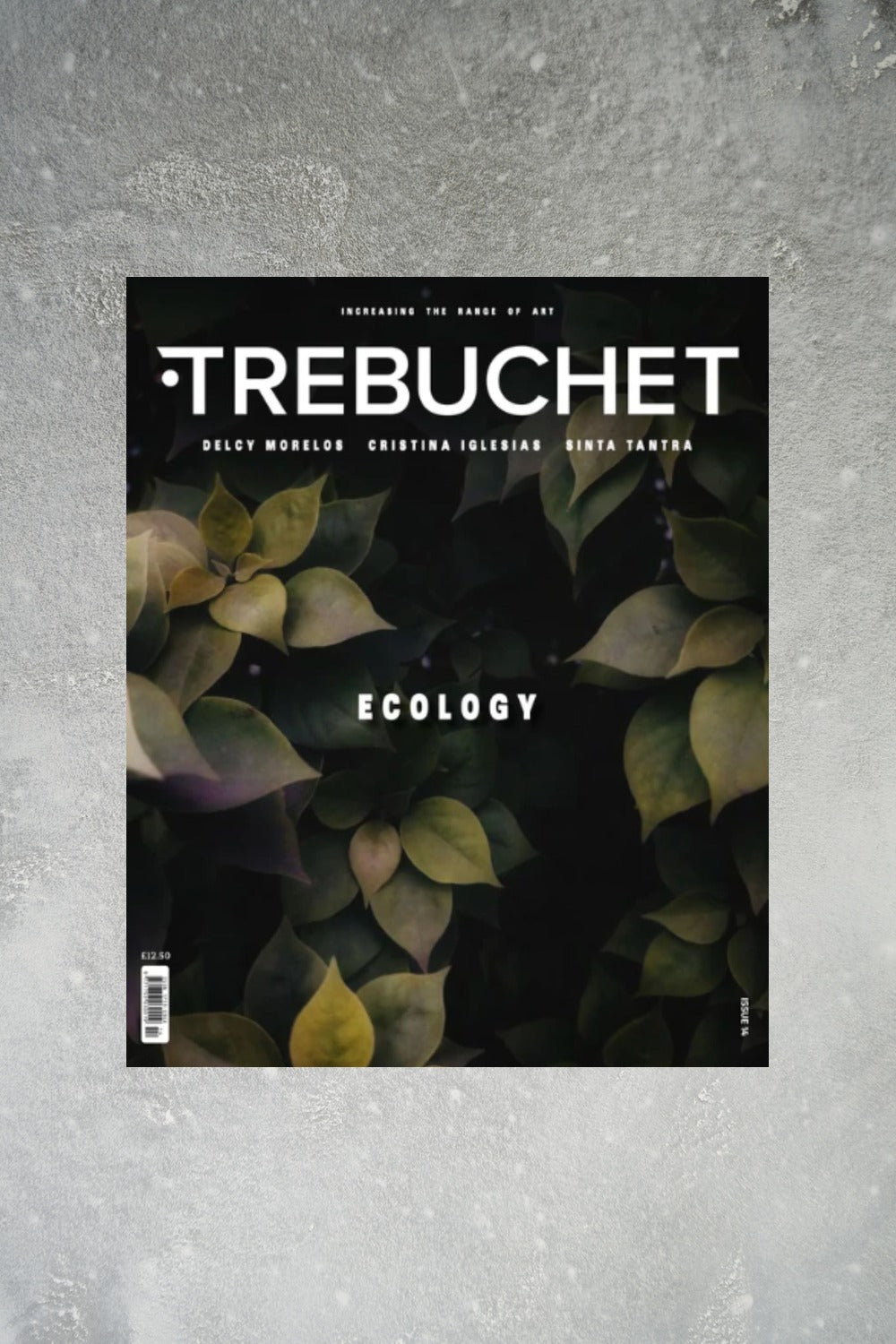 Trebuchet magazine cover: issue 14