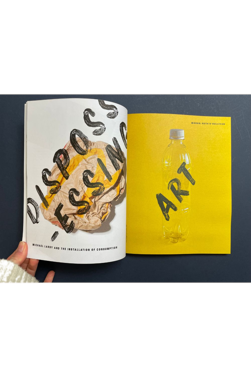 Trebuchet Issue 15: Installation Art