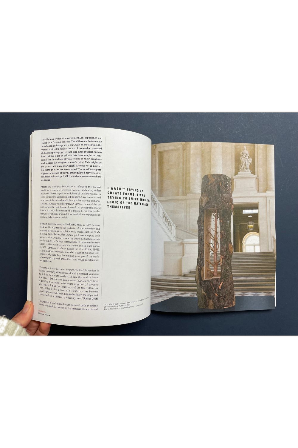 Trebuchet Issue 15: Installation Art