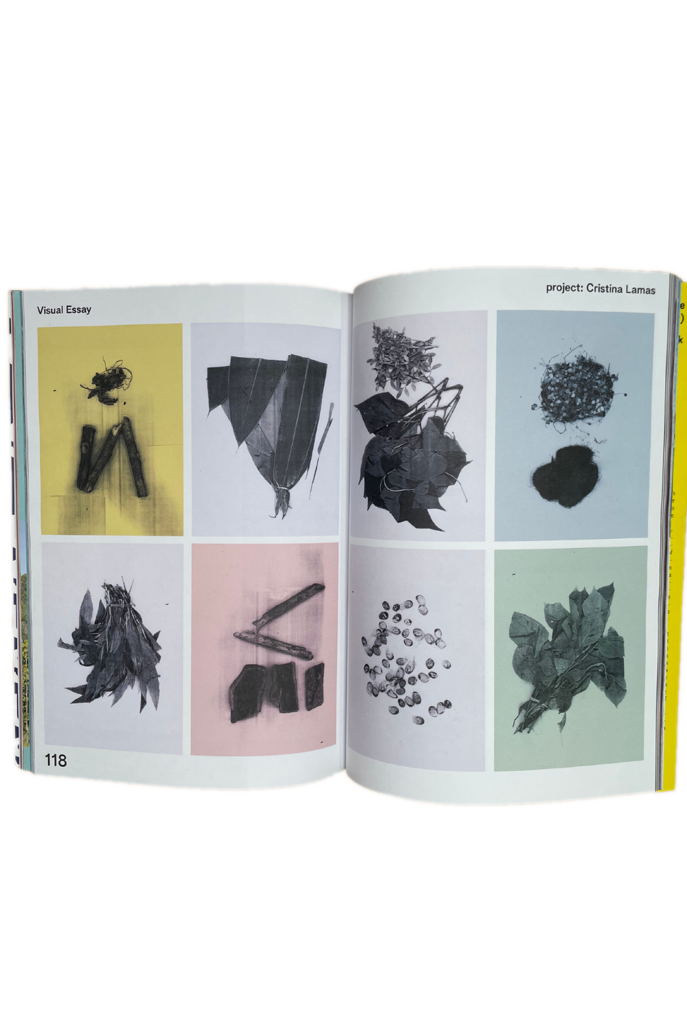 Umbigo Issue 93