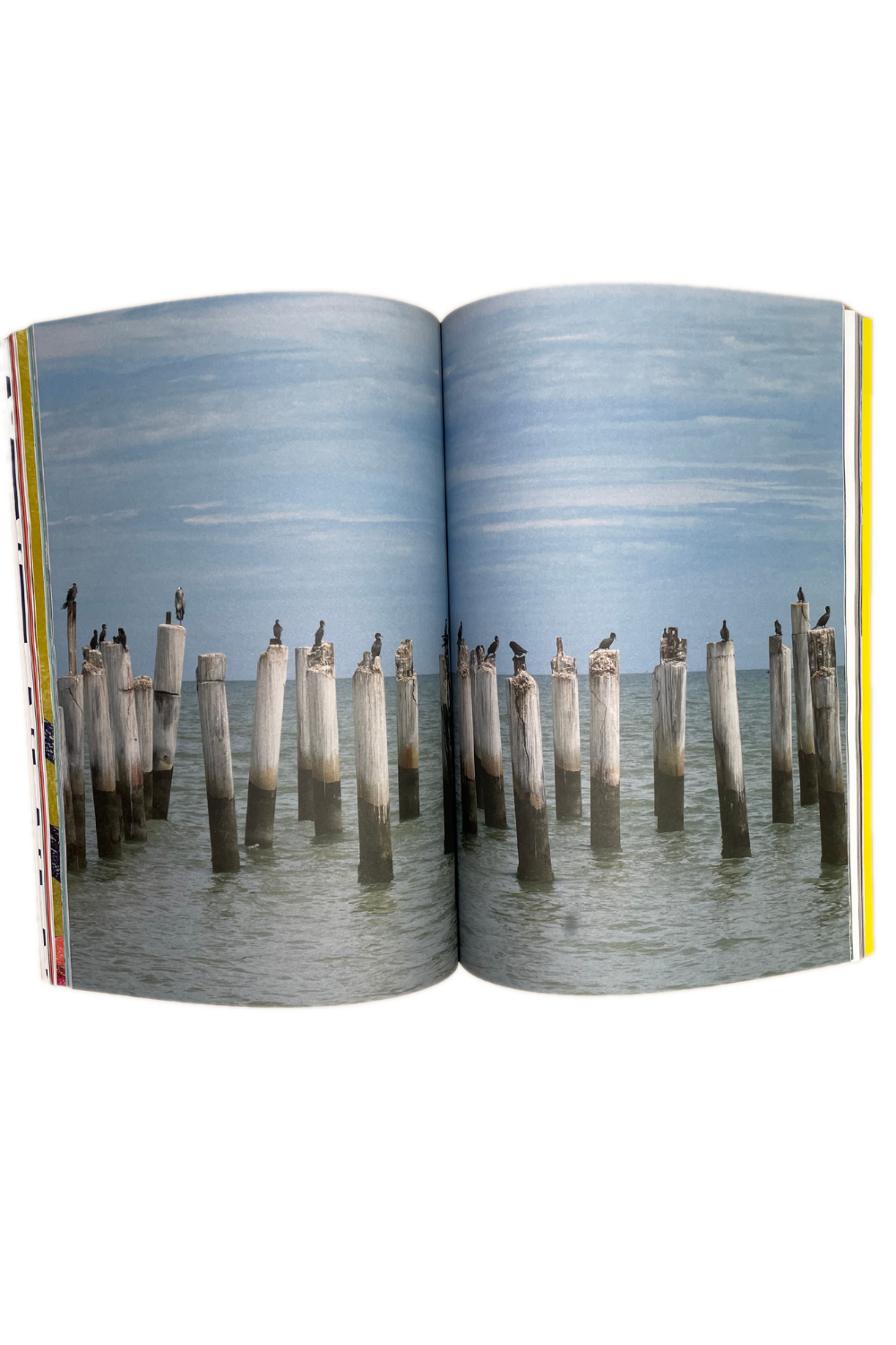 Umbigo Issue 93