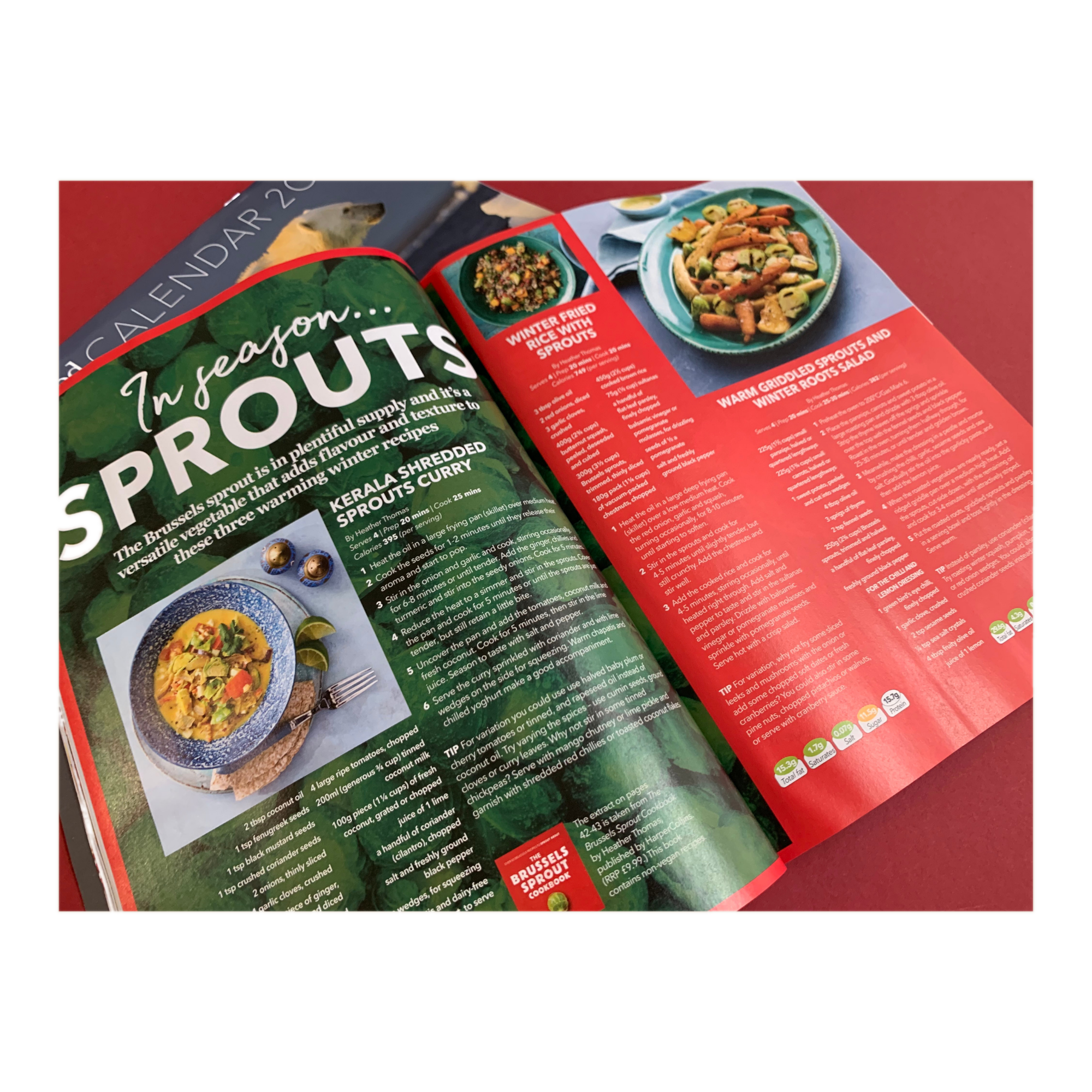 Vegan Food & Living December 2020