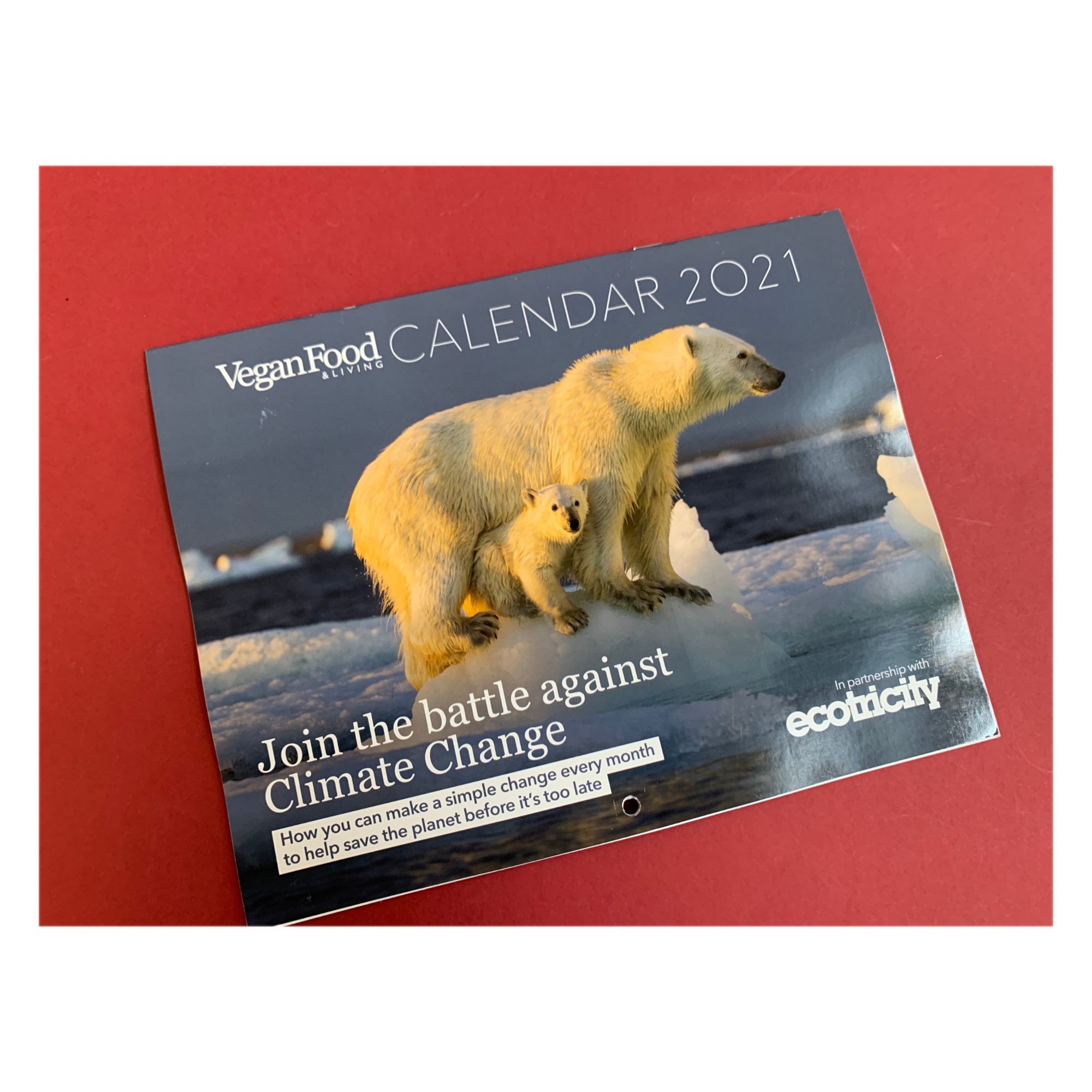 Vegan Food & Living December 2020