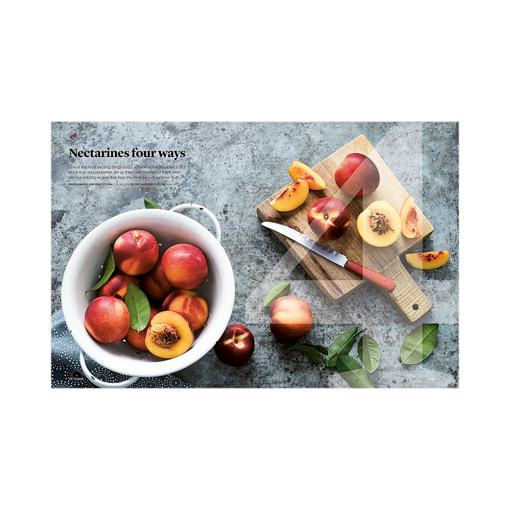 Walnut Issue 4