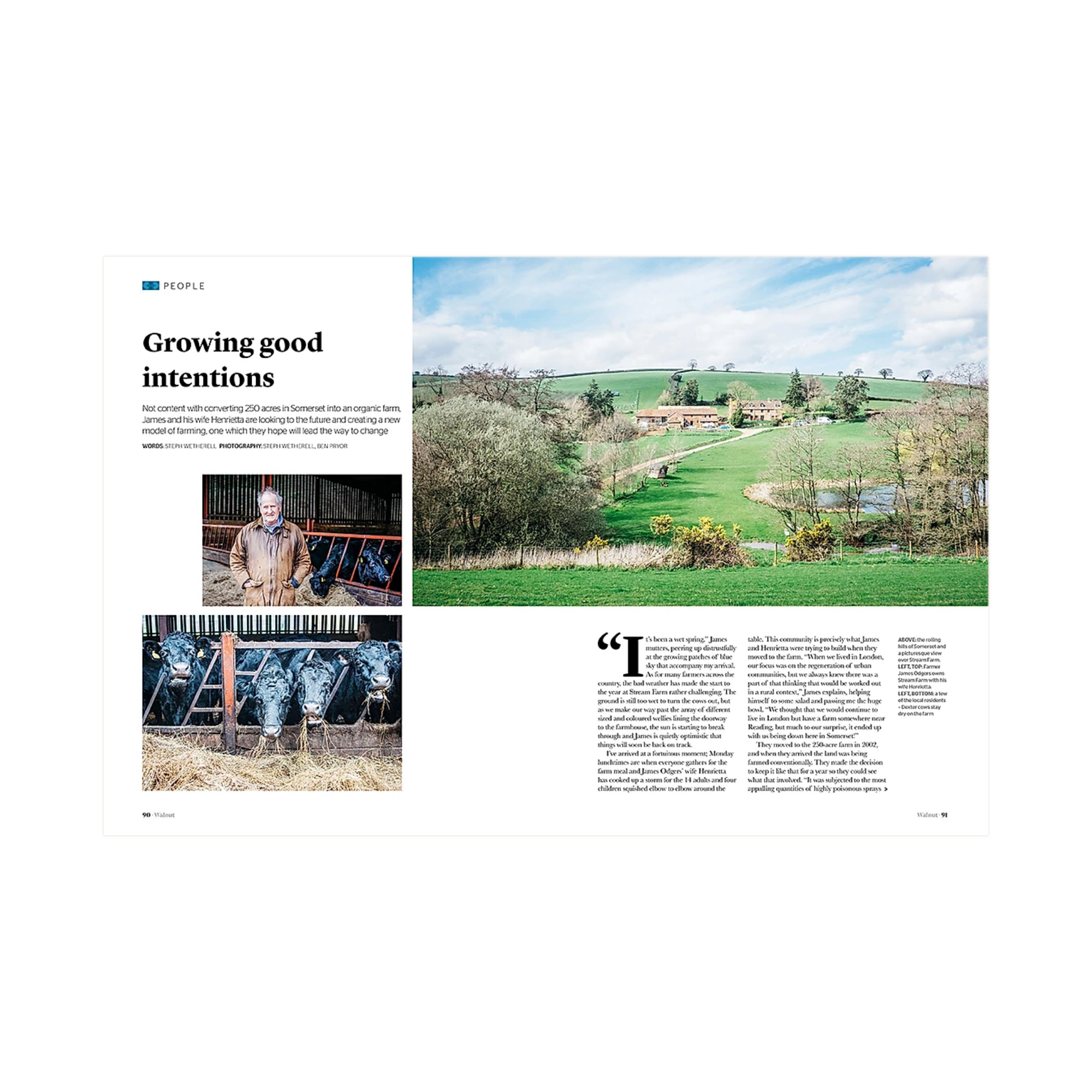 Walnut Issue 4