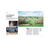 Walnut Issue 4