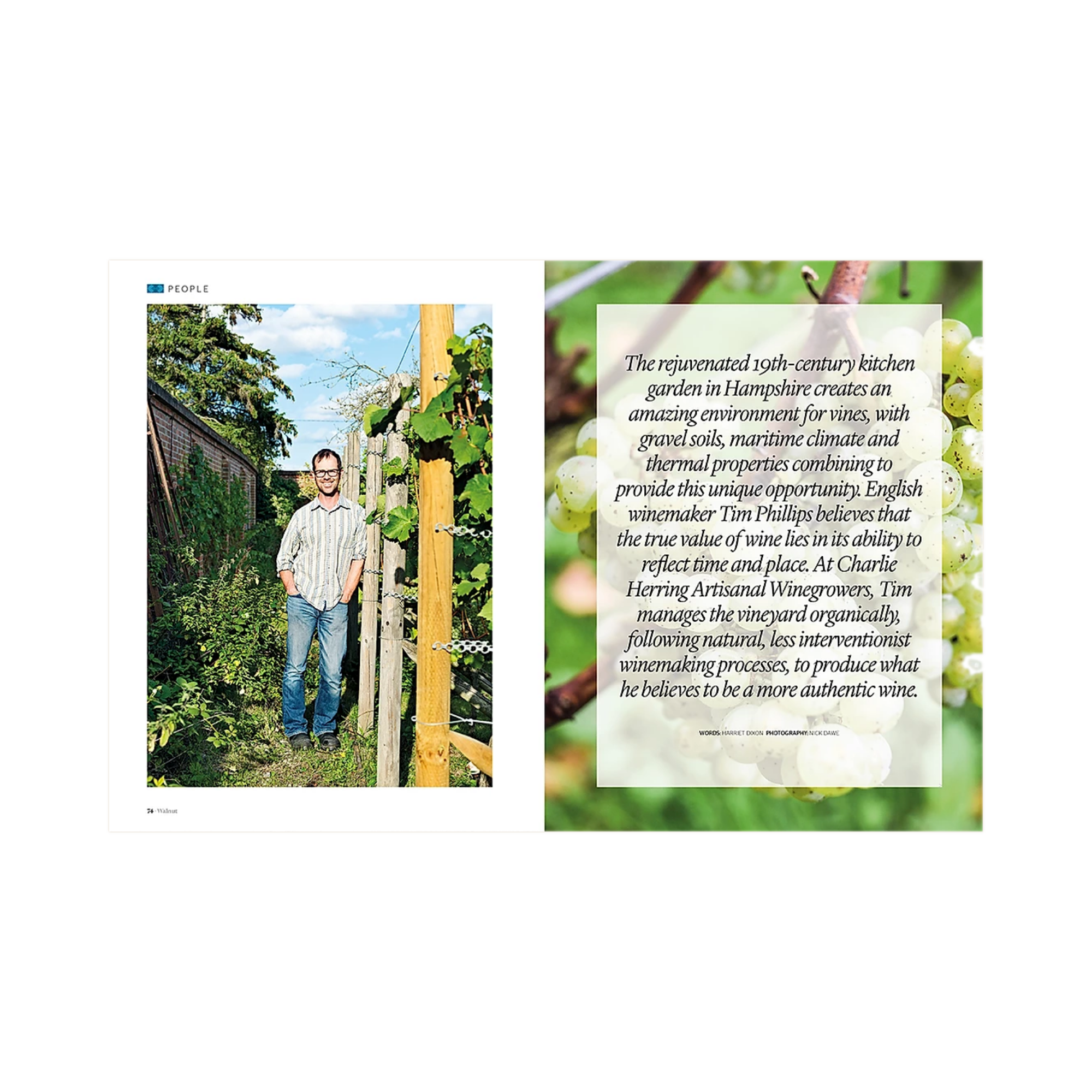 Walnut Issue 5