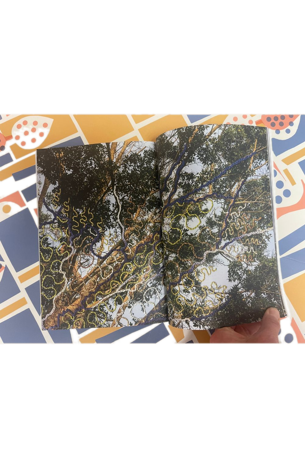 Where The Leaves Fall Issue 14