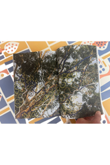 Where The Leaves Fall Issue 14