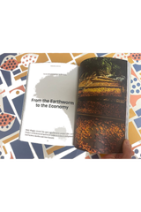 Where The Leaves Fall Issue 14