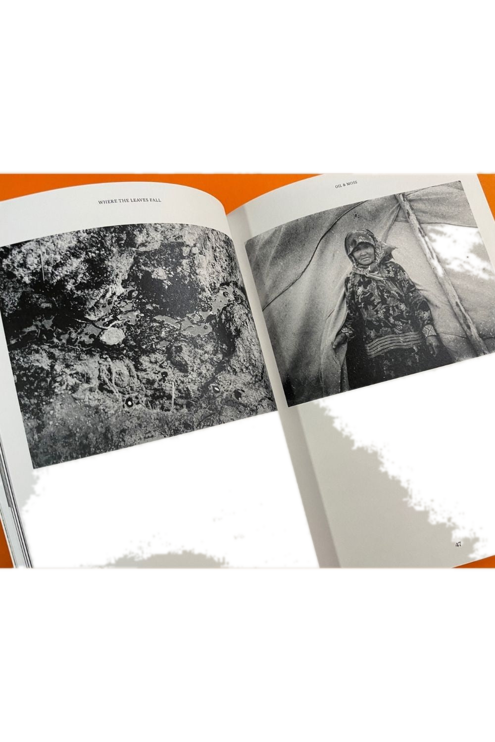 Where The Leaves Fall Issue 6