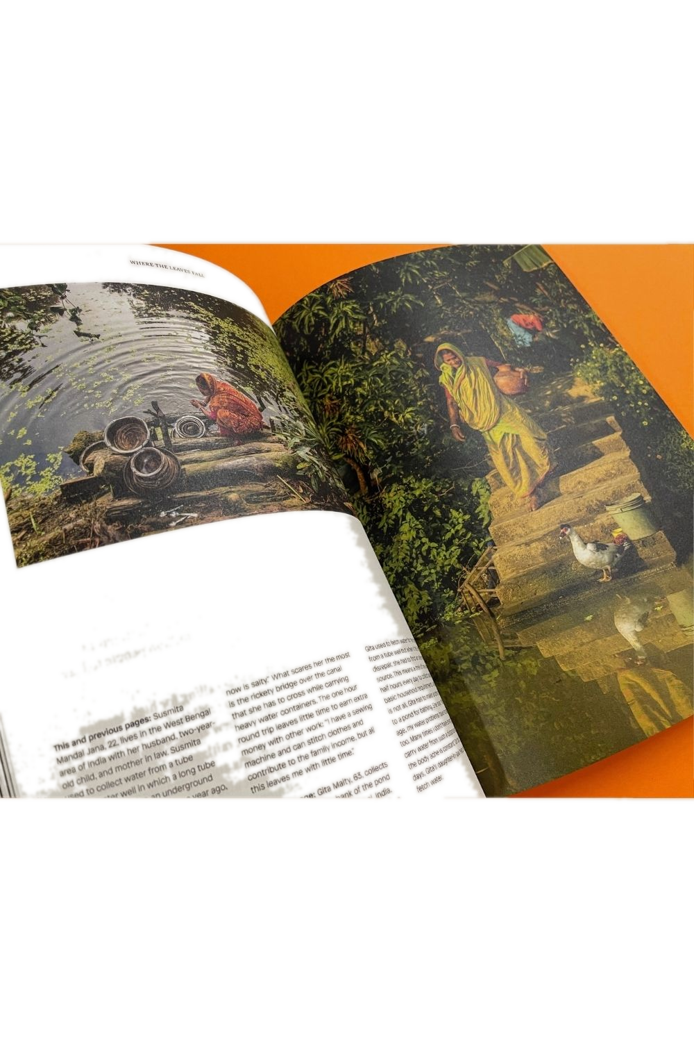 Where The Leaves Fall Issue 6