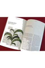 Where The Leaves Fall Issue 7