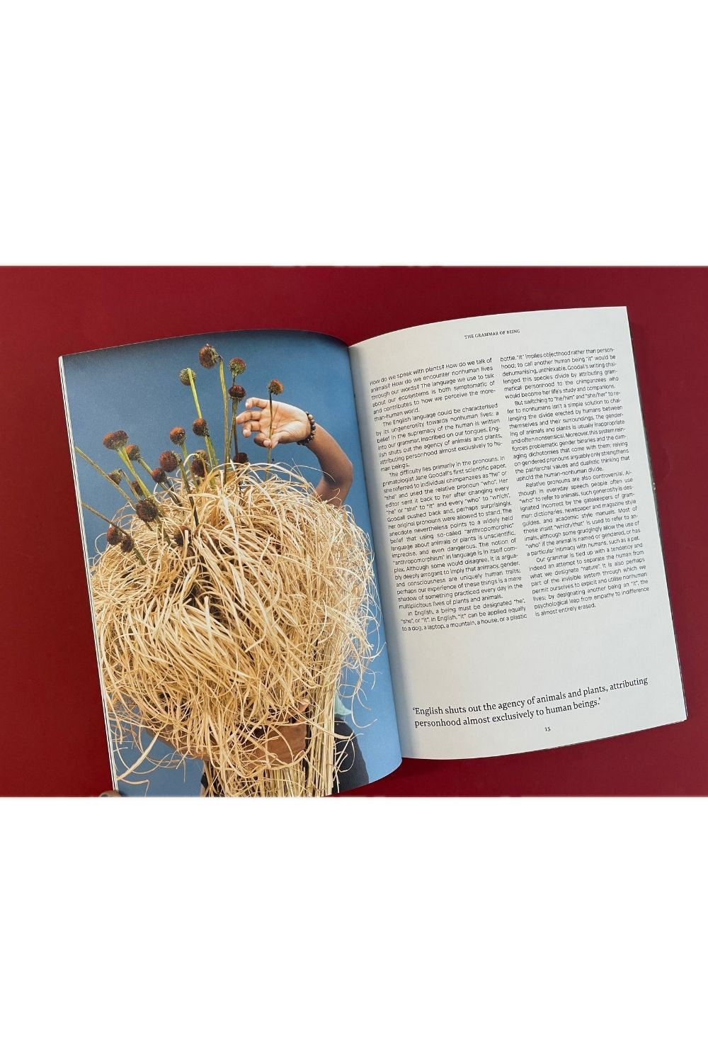 Where The Leaves Fall Issue 7