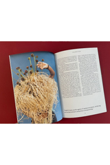 Where The Leaves Fall Issue 7