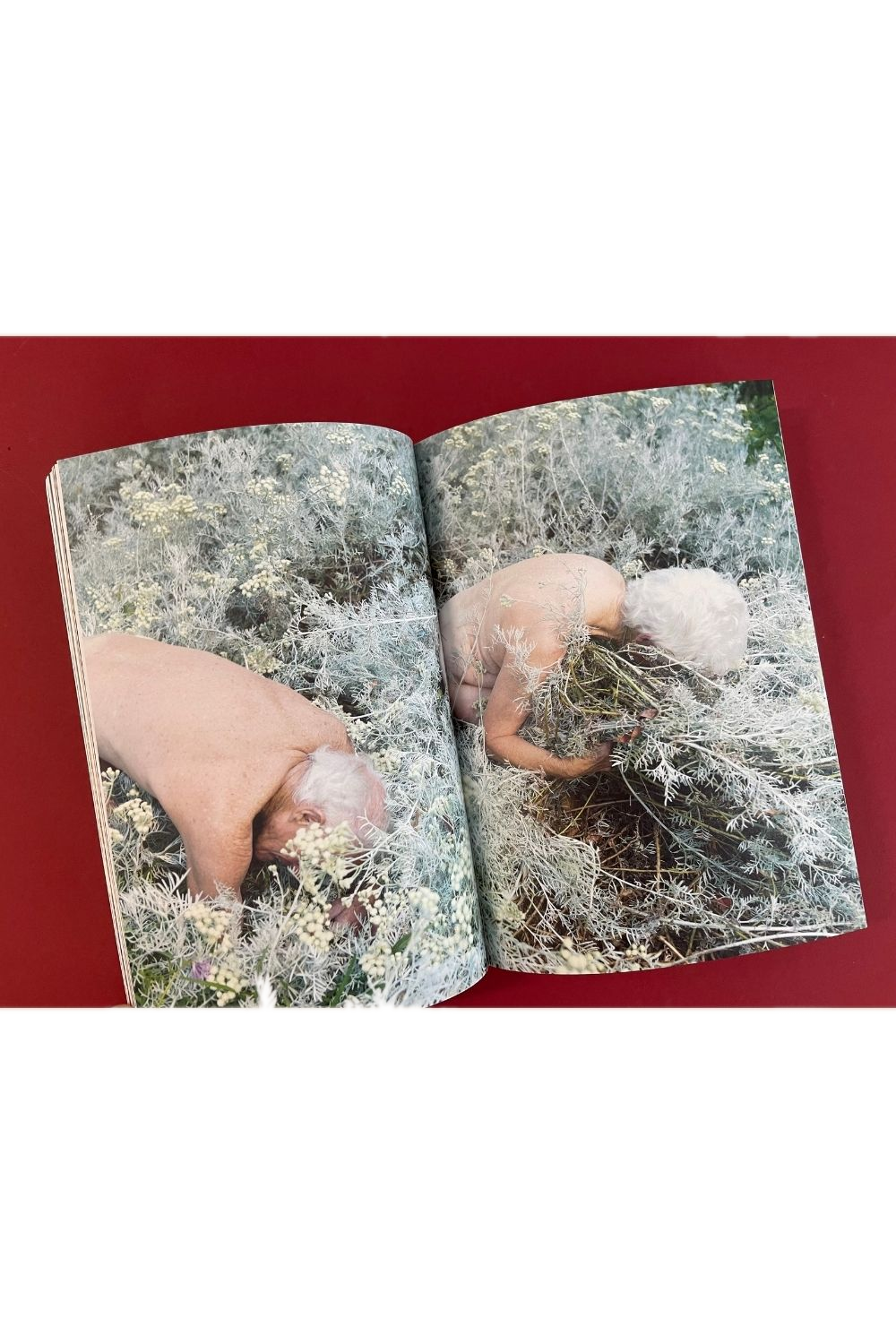 Where The Leaves Fall Issue 7