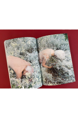 Where The Leaves Fall Issue 7