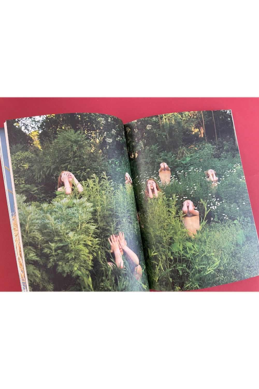 Where The Leaves Fall Issue 7
