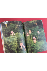 Where The Leaves Fall Issue 7