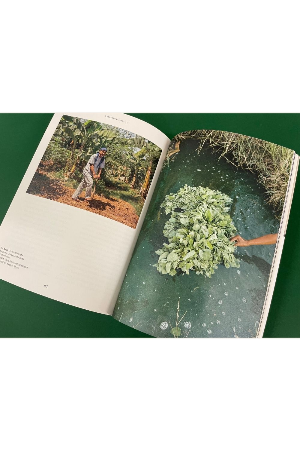 Where The Leaves Fall Issue 8