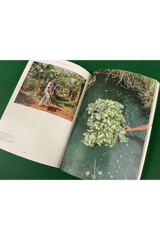 Where The Leaves Fall Issue 8