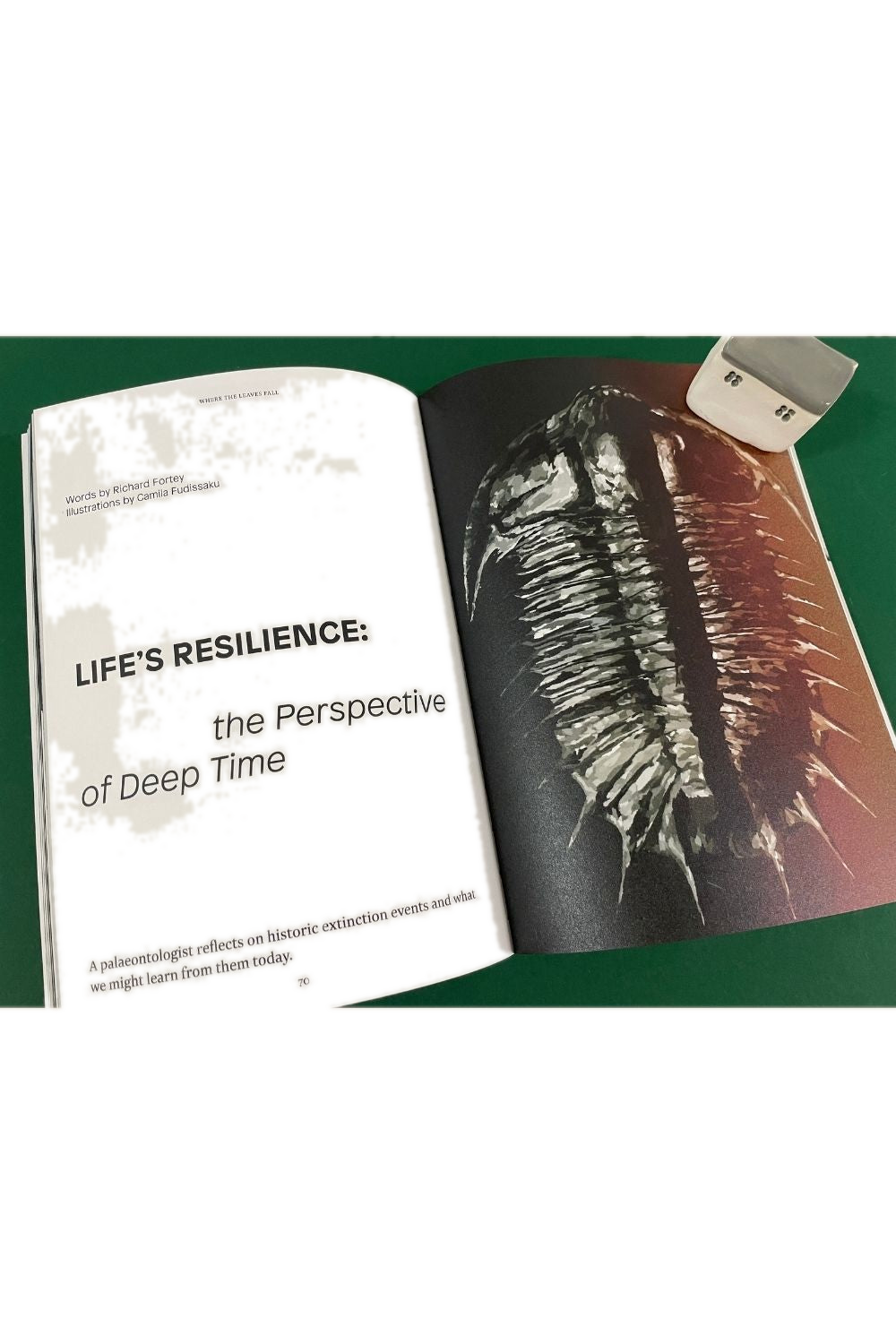 Where The Leaves Fall Issue 8