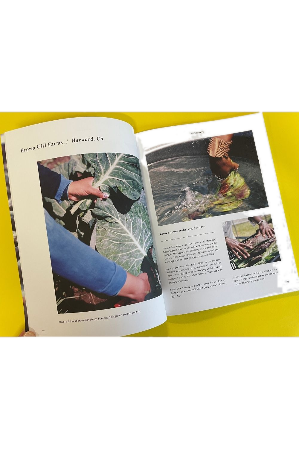 Whetstone Volume 9