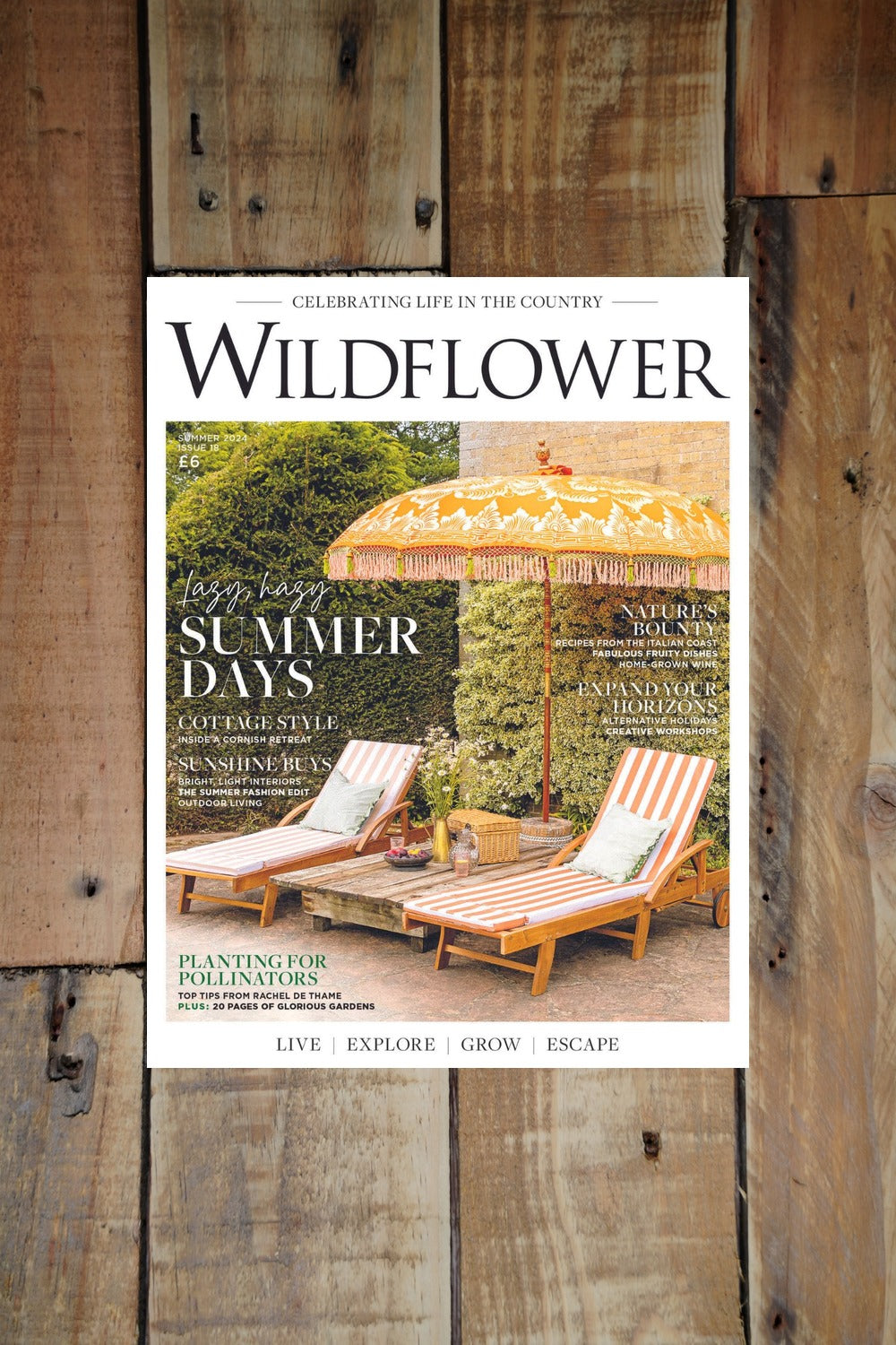 Wildflower Summer 2024 Cover