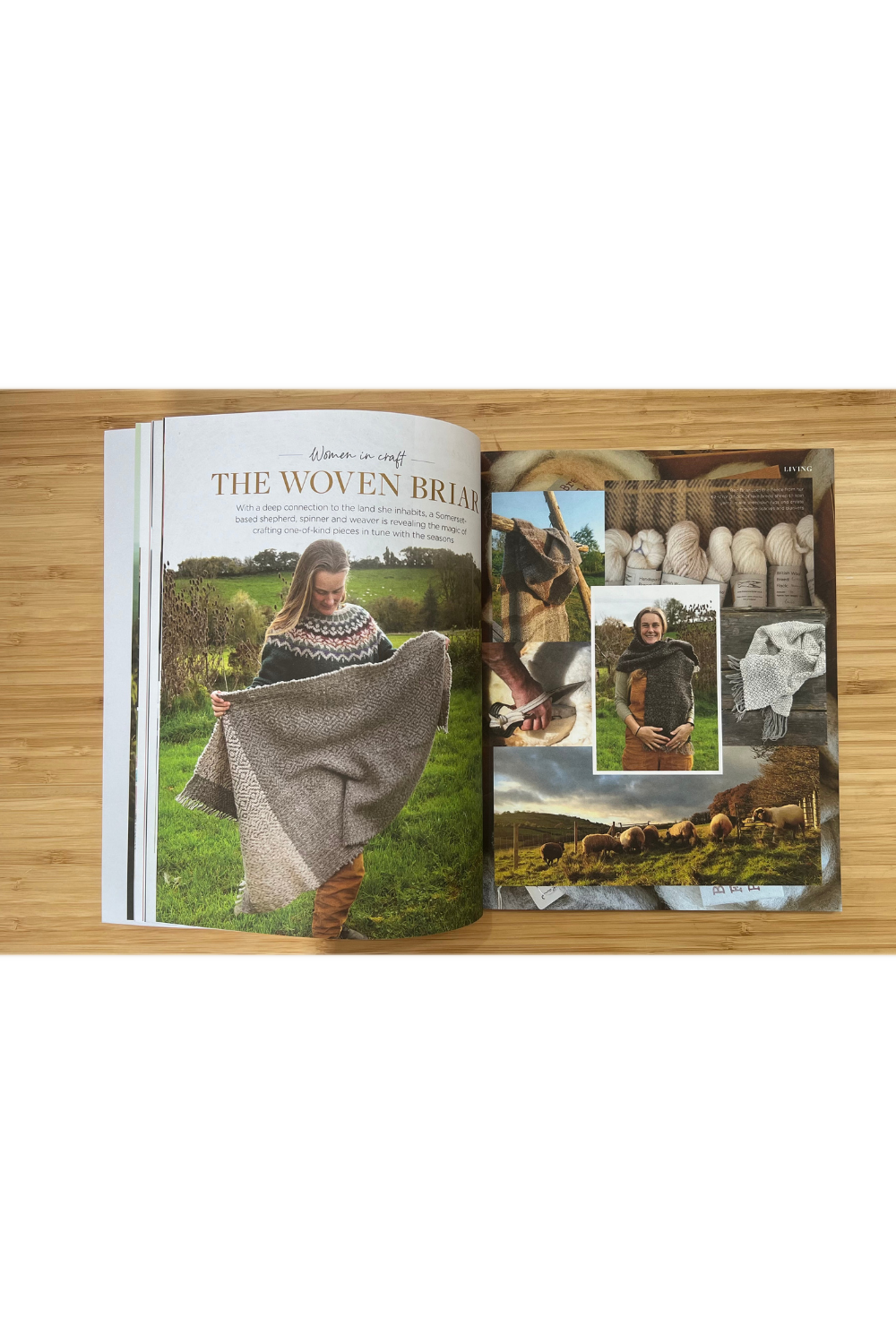 Wildflower Issue 19