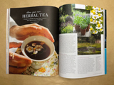 Wildflower Issue 25 Spring 2026