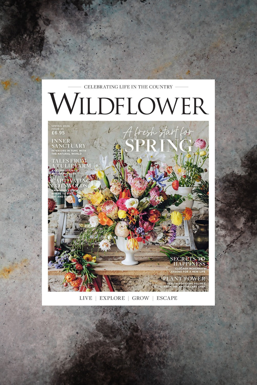 Wildflower Spring 2026 Cover