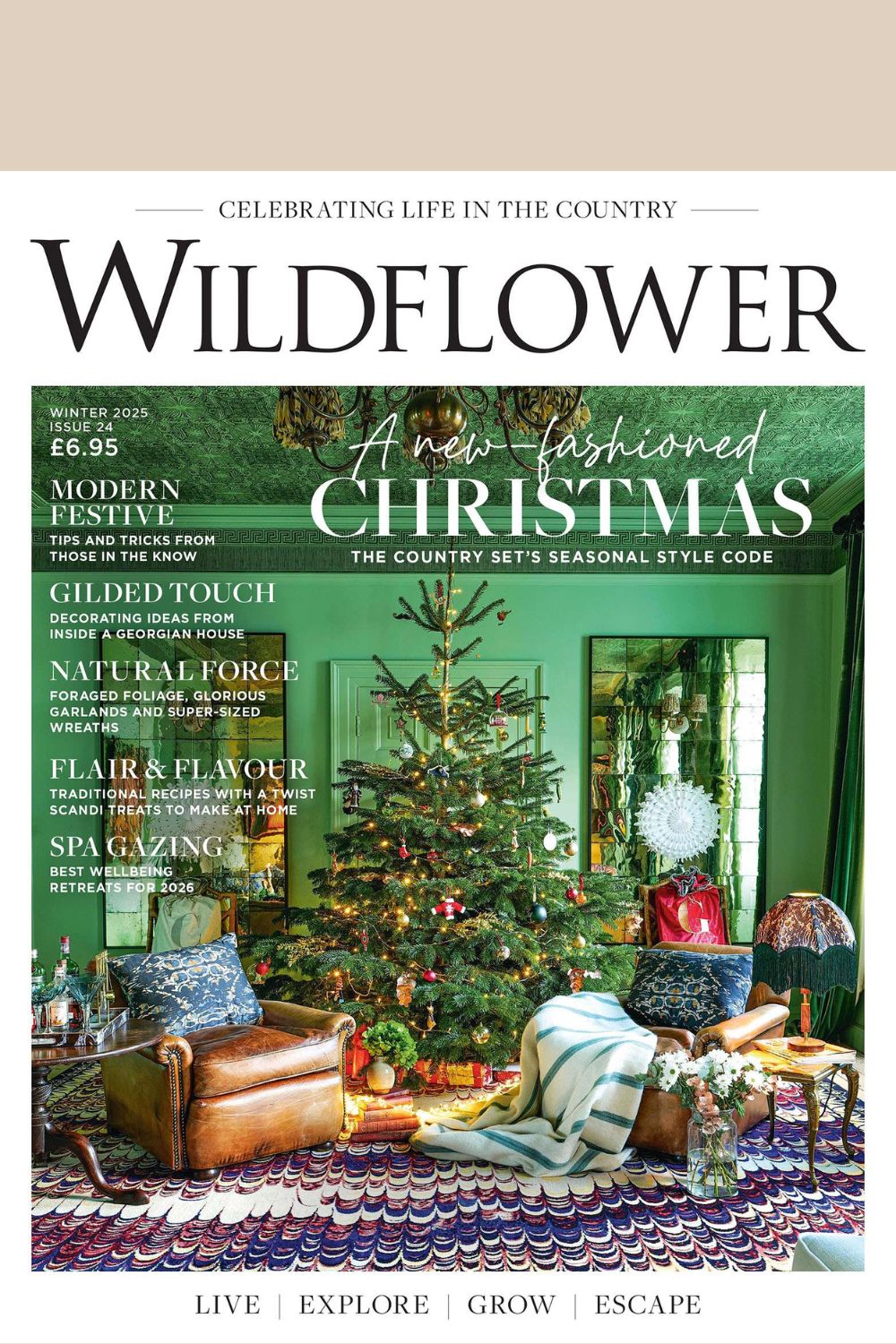 Wildflower Winter 2025 (#24) Cover