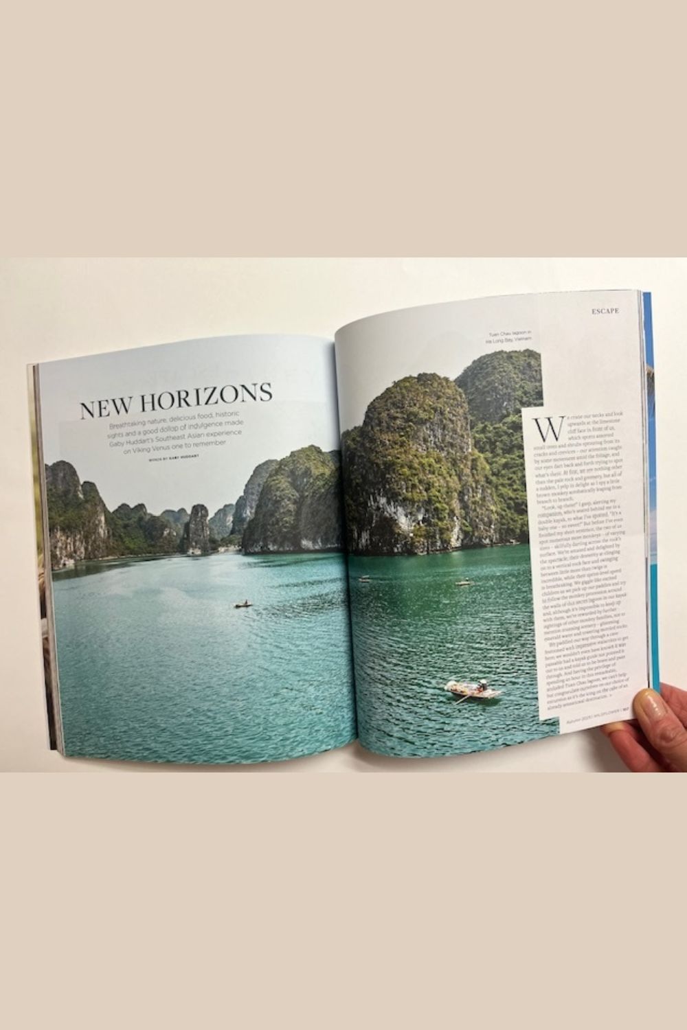 Wildflower Issue 23