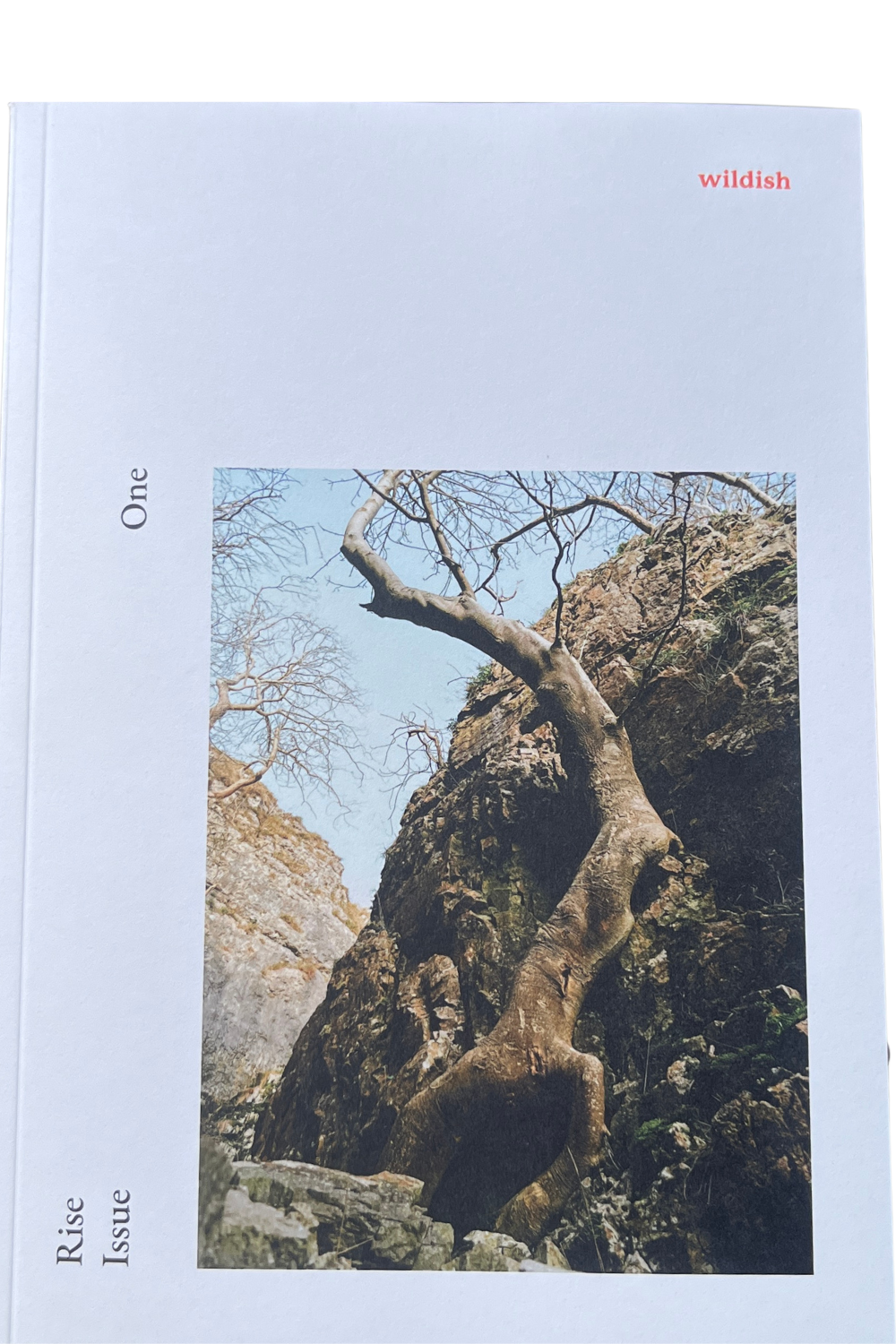 Wildish Rise Issue 1 Cover