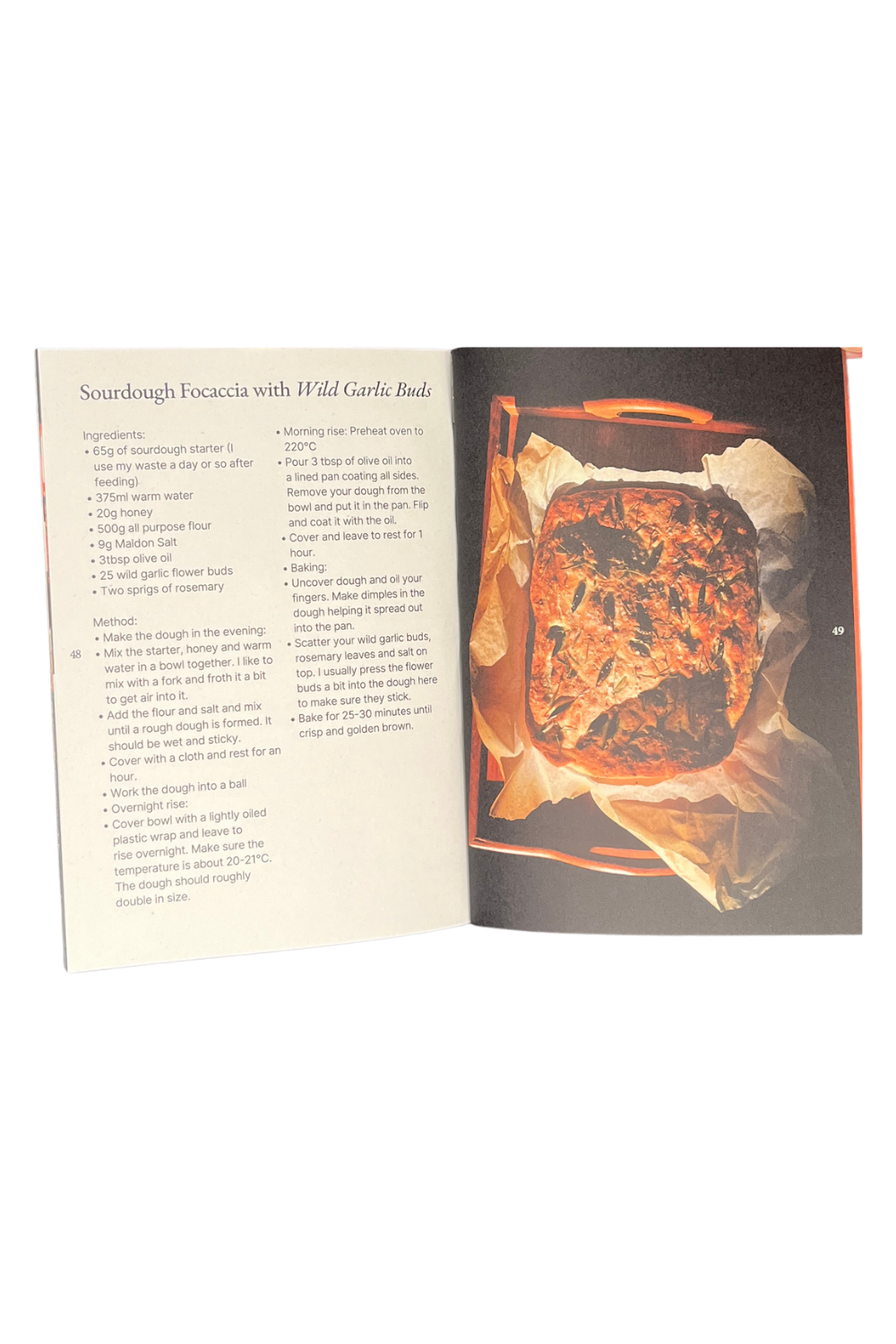 Wildish - Rise Issue 1