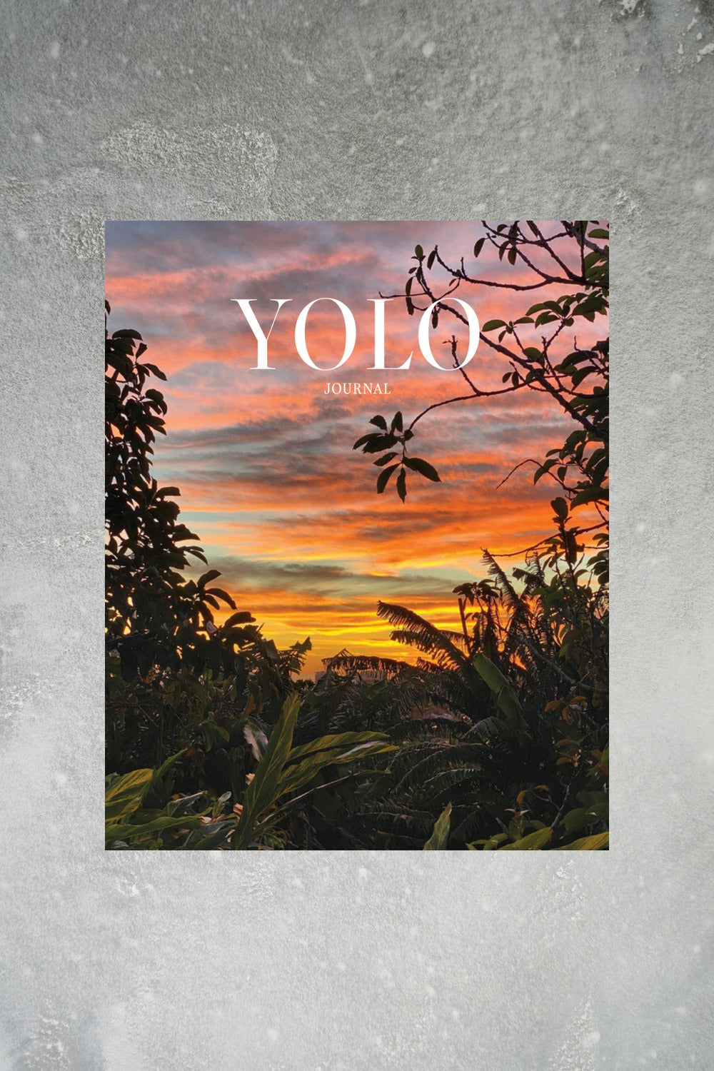 YOLO Journal 17 Cover