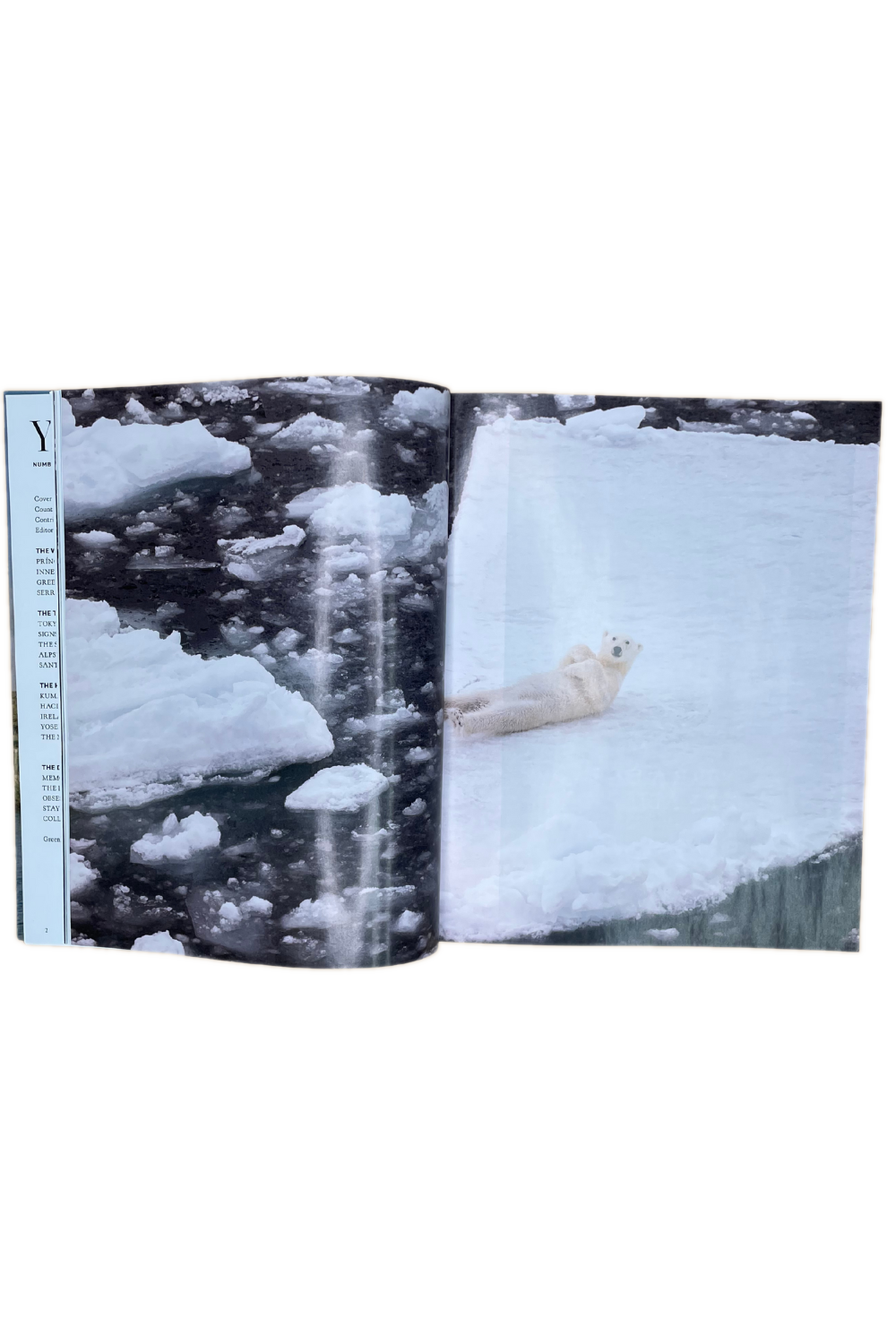 Yolo Journal Issue 20