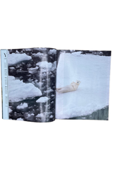 Yolo Journal Issue 20