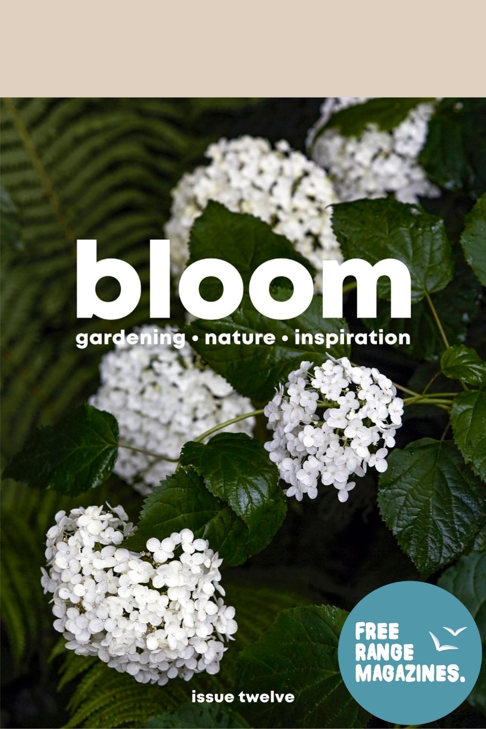 Bloom Issue 12 