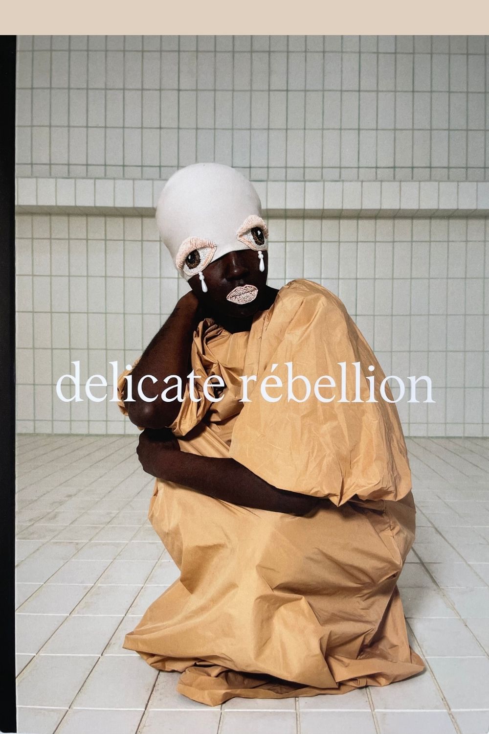 Front cover of Delicate Rebellion magazine Issue 3