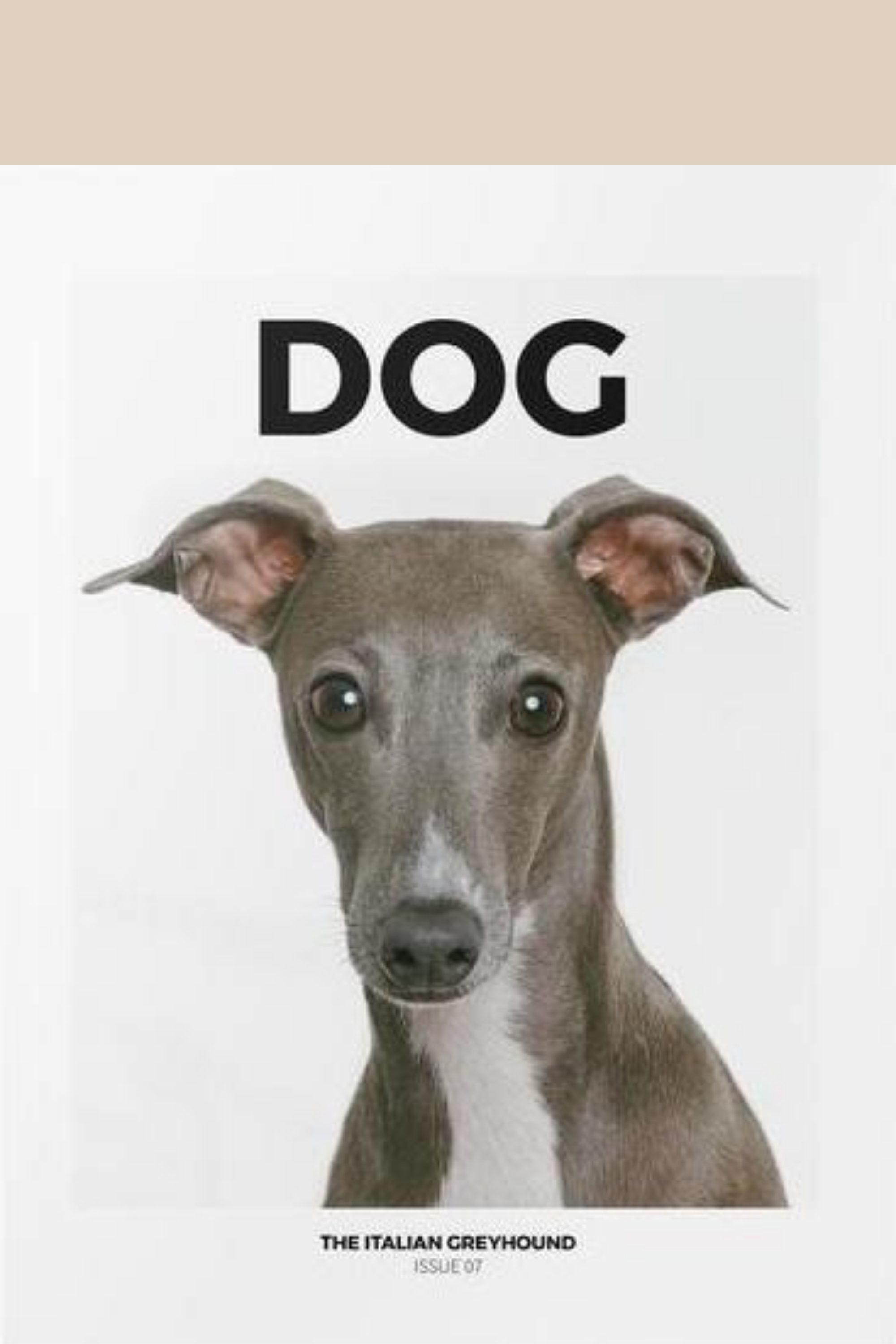 Dog Mag Issue 7